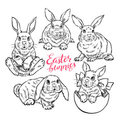 cute sketch easter bunnies