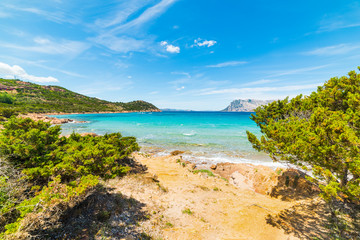 Turquoise sea in Capo Coda Cavallo