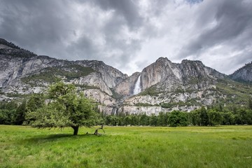 Yosemite Falls and Lone Tree