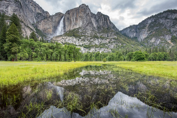 Fototapeta na wymiar Yosemite Falls Reflection 