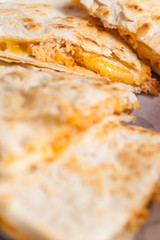 Quesadilla Close up