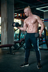 Obraz premium European man make exercise for biceps, training with the dumbbell in the gym.