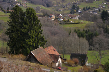 Les hameaux de la vallée de Munster (68140), département du Haut-Rhin en région Grand-Est, France	