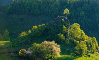 Fototapeta na wymiar mountain landscape in summer morning - Fundatura Ponorului, Romania