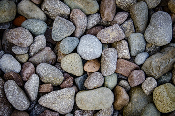 abstract background with dry round reeble stones