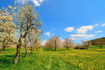 Frühlingslandschaft in der Fränkischen Schweiz