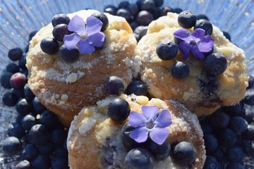 Blueberry muffins