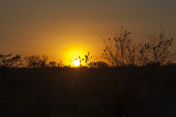 Sunset at Sabi Sands, South Africa