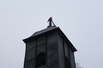 Bird on the roof. Slovakia