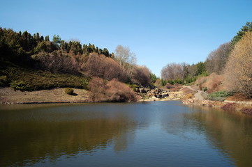 Fototapeta na wymiar River in forest, spring landscape