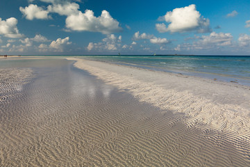 Seascape. Low tide. Horizontal view