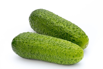 The first spring ecologically cucumbers.