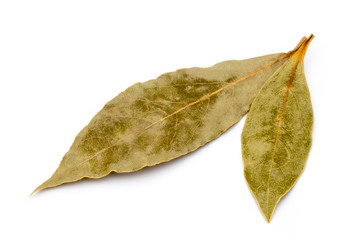 Aromatic bay leaves on white background.