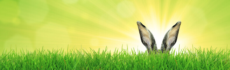 Frohe Ostern