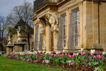 Fototapeta premium Pavillon de Vendôme au printemps. Tulipes blanches et roses. Aix-en-Provence. France.
