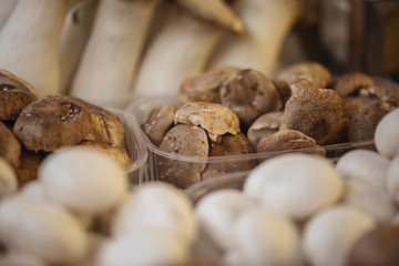 Various Mushrooms