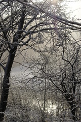 Dutch winter landscape