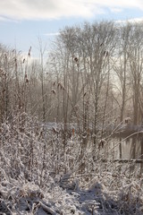 Dutch winter landscape