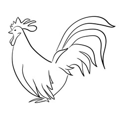 rooster illustration isolated on white background