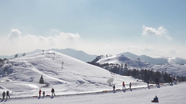 Crowd of Families on a Mountain Slope with Snow in a Sunny Winter Day