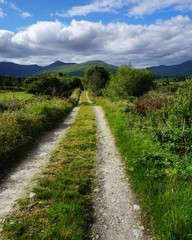 Fototapeta na wymiar Landschaft in Irland