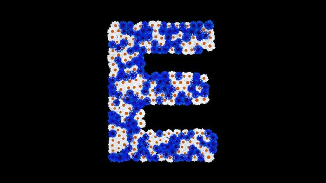 Letter E made of cornflowers and white daisy flowers with alpha channel