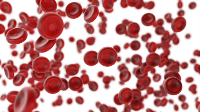 View under the microscope, blood-red blood cells isolated on white background, 3d illustration.