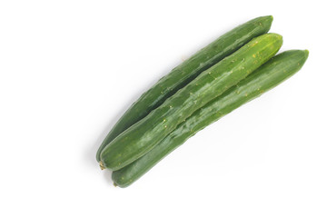Three fresh Cucumber