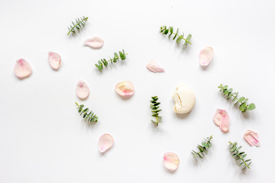 Fototapeta Petals and eucalyptus pattern in pastel color on white background top view