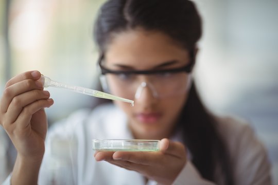 Attentive schoolgirl experimenting in laboratory
