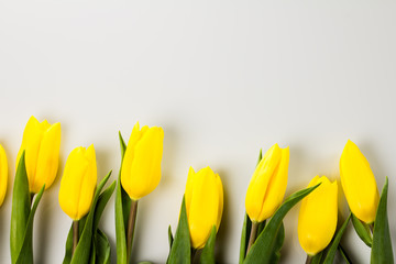 Tulips and eggs on golden wood, easter theme