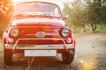 Small red car parked amongst the olive trees