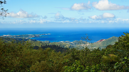 Caribbean sea - Grenada island - Saint George's - Grand Anse and Devils bay - Grand Etang National Park