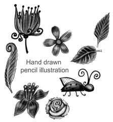 Hand drawn set of flowers and leaves on the white background, isolated illustration painted by pencil