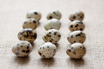 Obraz premium Quail eggs