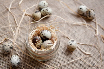 Quail eggs
