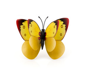 Beautiful yellow butterfly on a white background