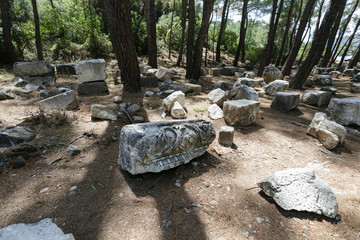 Pieces of decorated marble in ancient city of Phaselis