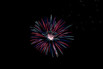 Firework to celebrate independence Day