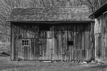 Out to the Shed