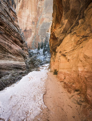 ZION, NATIONAL PARK, WINTER, SNOW, ICE