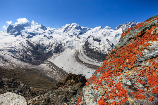 Europe, Italy, Monte Rosa group, Liskamm, Pollux, Castore, Dufour peak et the Lis glacier