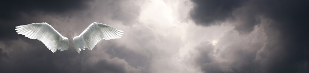 Angel wings with stormy sky background