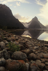 Milford Sound / Mitre Peak / Nouvelle Zélande