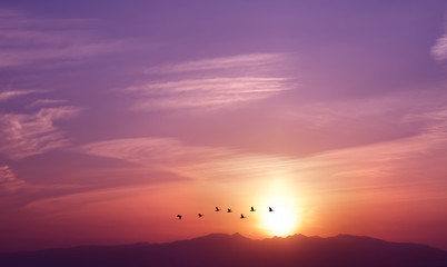 Fototapeta na wymiar Sunrise with flying birds