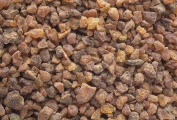 Commiphora myrrha / Myrrhe
