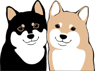 柴犬　黒柴と茶芝の子犬 