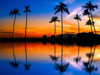 Fototapeta na wymiar blue orange sunset with palm trees