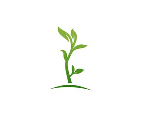 Fototapeta na wymiar Plant logo