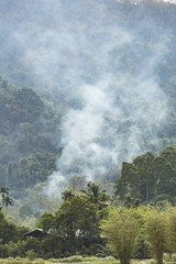 Forest fires, Thailand